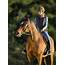 Reduce Horseback Riding Injuries With These Safety Tips