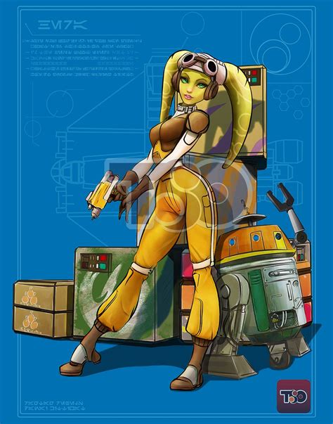 Hera And Chopper Star Wars Characters Pictures Star Wars Drawings