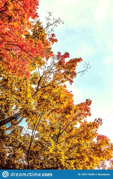Beautiful Autumn Landscape Background Vintage Nature Scene In Fall Season Stock Photo Image