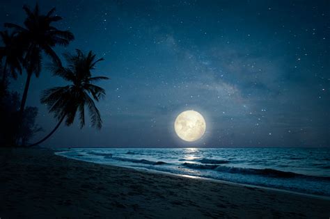 Moonlight Beach Wallpaper