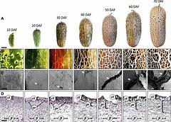 Unraveling The Mystery The Comprehensive Guide To Nevadas Secondary Course For Home Inspectors