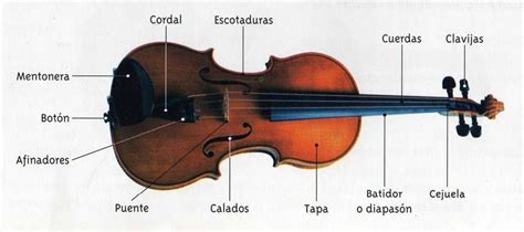 Artes Musicales San Agustín Partes Del Violín Y Viola