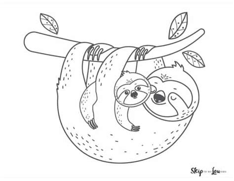 Sloth Coloring Page Skip To My Lou Coloring Home