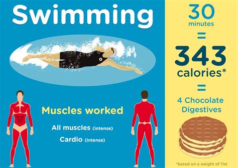 How Many Calories Do U Burn Swimming How Many Olympic Rowing
