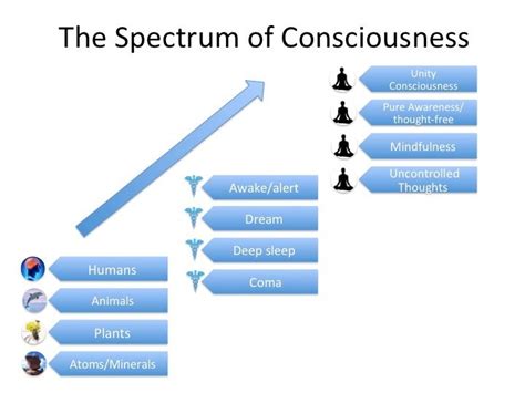 Our Models Of Consciousness How They Shape Our Reality Marjorie