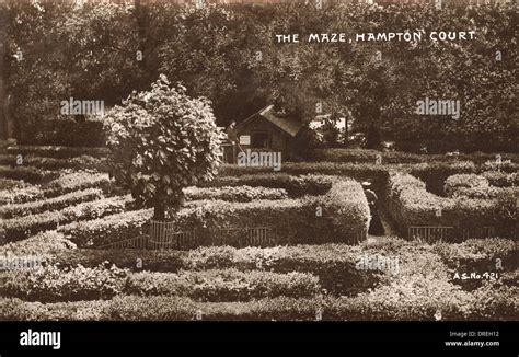 The Maze - Hampton Court Stock Photo - Alamy