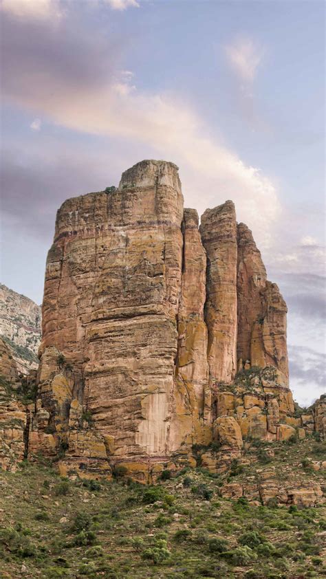 Download Wallpaper 1440x2560 Rocks Mountains Bushes Landscape