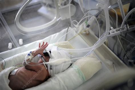 Premature Baby Intensive Care Unit Stock Image C0168725 Science