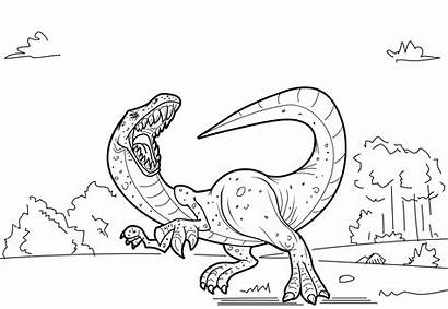 Dinosaur Coloring Triceratops Pages Printable Dinosaurs Getcolorings