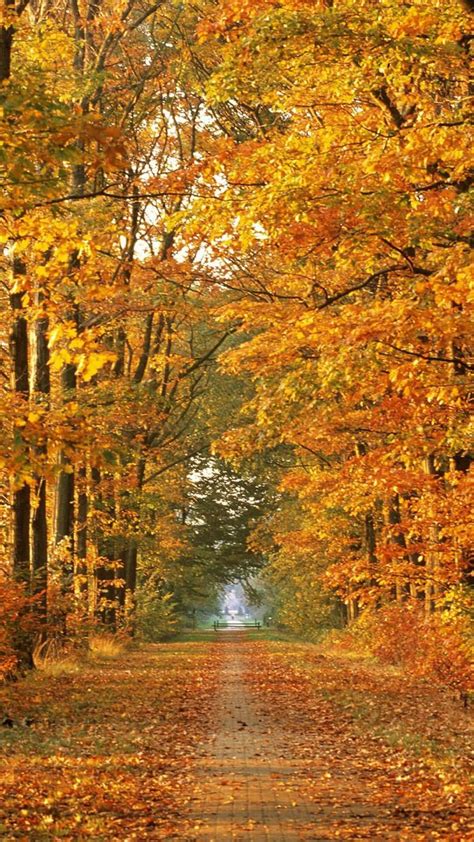 October Scenery Wallpapers Top Free October Scenery