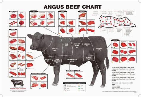 The American Cowboy Chronicles Cattle Diagrams Retail Beef Cuts Chart