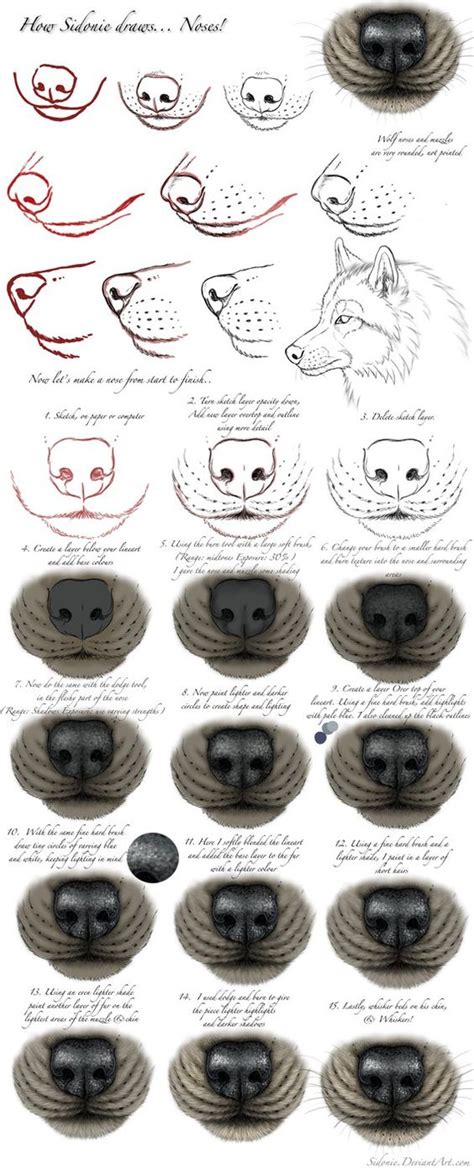 How to draw a dog's nose step 1 it's pretty easy! Nose Tutorial by Sidonie on DeviantArt | Draw | Pinterest ...