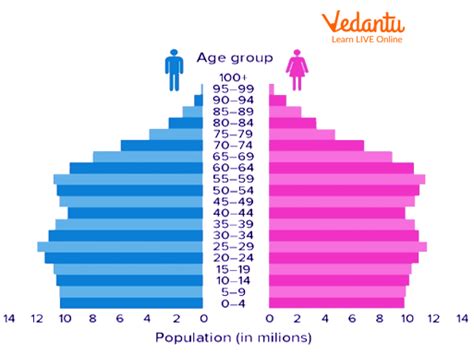 Population Pyramid Structure Types And Uses