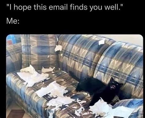 I Hope This Email Finds You Well 9GAG