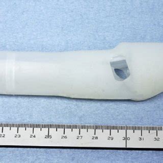 External Penile Support Device Erektor Figure Is Available In Color Download Scientific