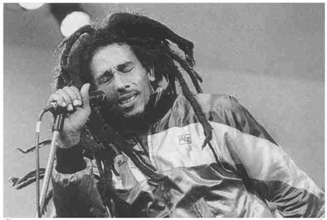 Bob Marley Dreadlocks Poster