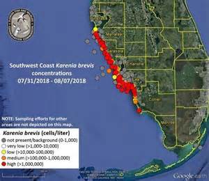 Florida Red Tide Update Algae Blooms Blamed For Sickening