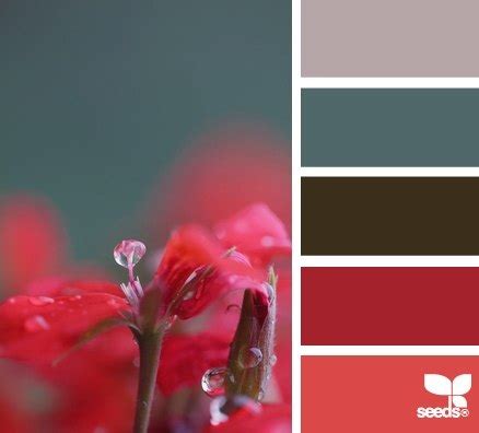 Gallery.ru / Фото #71 - сочетание цвета оттенки красного и розового - semynova