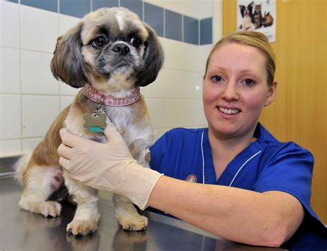 24 Pictures Of The Amazing Vets That Have Looked After Teessides Pets