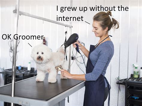 OK Groomer : r/funny