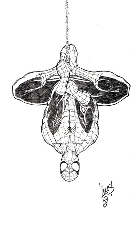 Spiderman Hanging Upside Down Drawing