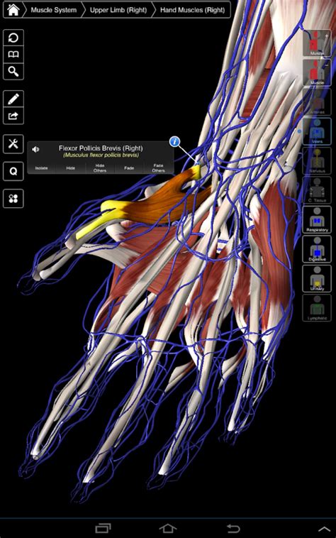 Essential Anatomy Android 版 下载