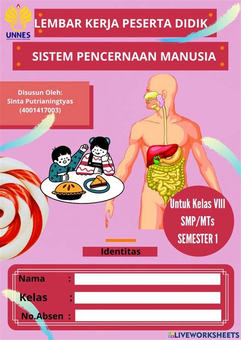 Worksheet Sistem Pencernaan Manusia Worksheet My Xxx Hot Girl