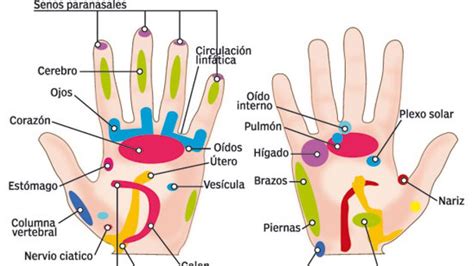 Reflexología El Arte De Curar Por Los Pies Y Las Manos