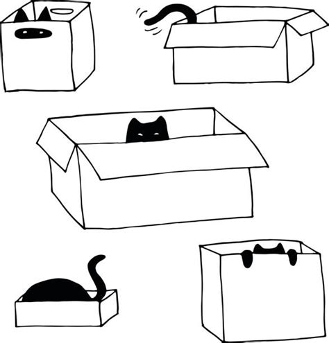 9700 Cat Box Stock Illustrations Royalty Free Vector Graphics And Clip