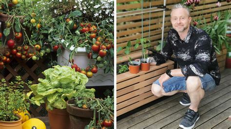 Paradicsom termesztés balkonon - videó - kert.tv