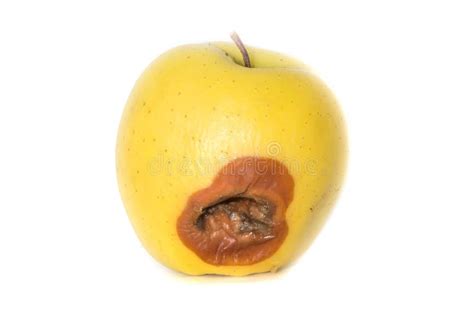 与一只大蠕虫的腐烂的苹果 库存图片 图片 包括有 佩带 腐烂 捣毁 蠕虫 太熟 剥去 黏糊糊的 80511937