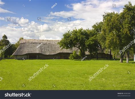 Shed With Thatched Roof Stock Photo 46583368 Shutterstock