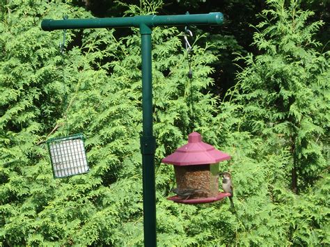 A diy bird feeder is the way to make the birds in your backyard feel at home. Pictures of a "build it yourself" PVC bird feeder pole ...