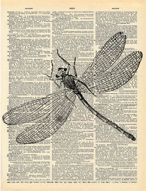 Antique Book Print Dragonfly Insect Art Print Art Nouveau Etsy Arte