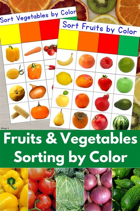 Fruit And Vegetable Sort By Color Activity For Special Education In