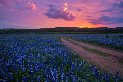 Top 20 Most Beautiful Places To Visit In Texas Globalgrasshopper