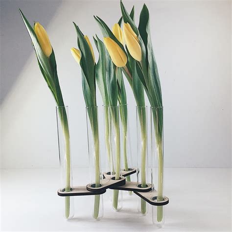 Test Tube Flower Vase For T Home Decoration Plant Flower Etsy