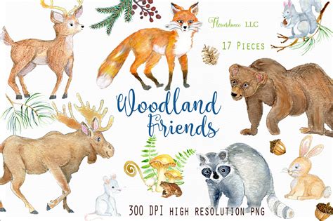 Watercolor Woodland Animals Clipart 168526 Characters Design Bundles