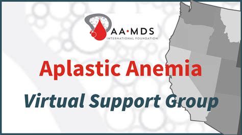 Aplastic Anemia Virtual Support Group West Coast 2022 October