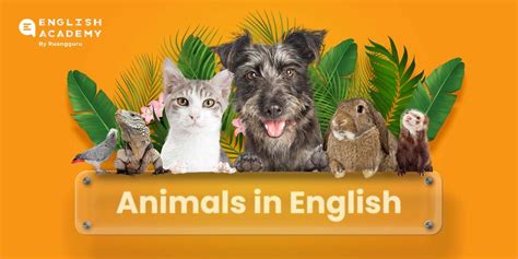 Nama Nama Hewan Animals Dalam Bahasa Inggris Dan Artinya