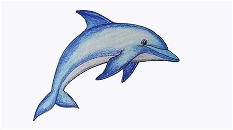 Learn How To Sketch And Art Beautiful Blue Dolphin By Hand With