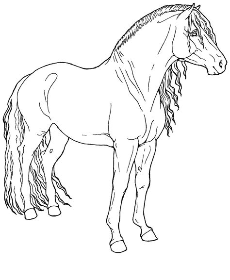 Horse coloring pages, Pencil drawings of animals, Horse drawings