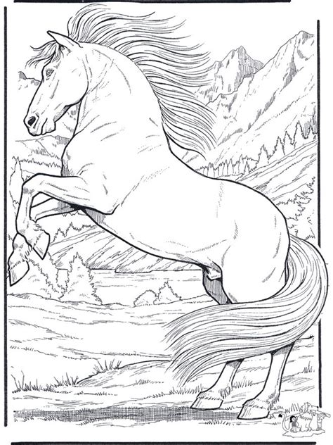 Realistic Horse Coloring Pages Animals Coloring