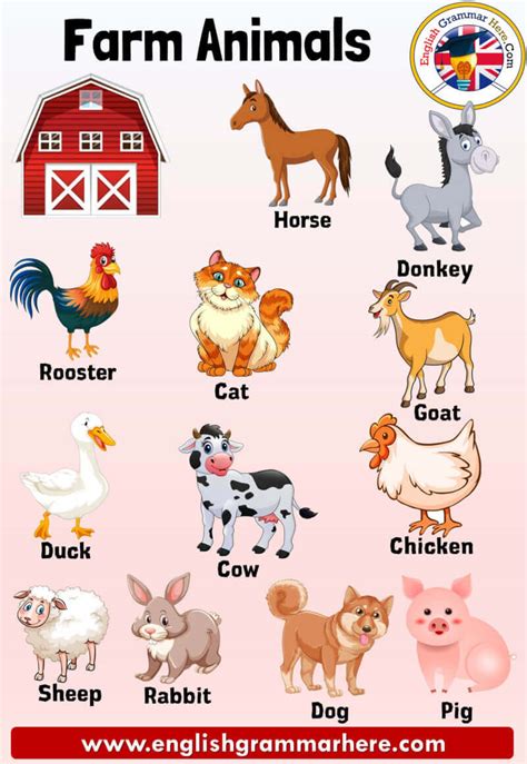 Lessons · vocabulary · grammar · appendices · texts. Farm Animals Names, Definition and Examples - English ...
