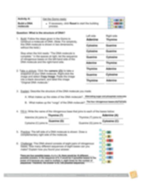Comments and help with building dna gizmo worksheet answers. Student Exploration Building Dna Answer Key Quizlet + My ...
