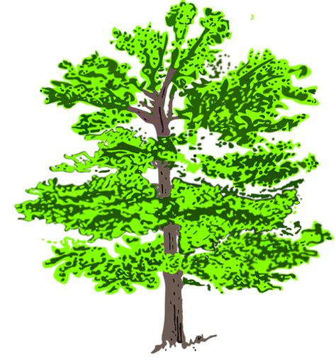 Download 54 background hijau free vectors. Pohon Hijau Tanaman · Gambar vektor gratis di Pixabay