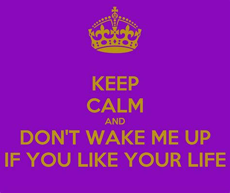 Keep Calm And Dont Wake Me Up If You Like Your Life Poster Gg Keep