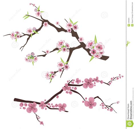 Choose from 4800+ tree branch graphic sakura background with blossom cherry branches hand drawn japanese flowers background. Floral branch series stock vector. Illustration of blossom ...