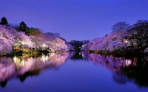 2560x1600 Japan Wallpapers Best Wallpapers 2560x1600 Nature Wallpaper