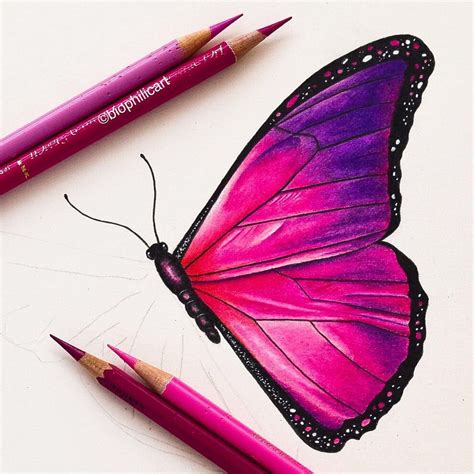 Butterfly Drawings With Color Pink Thesharpice Byamber